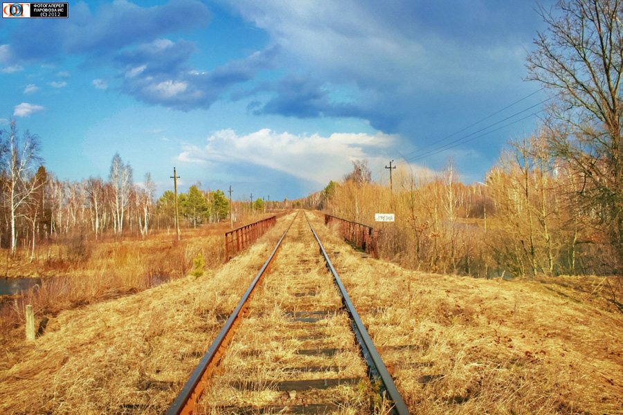 The abandoned railroad line through the Chornobyl zone.