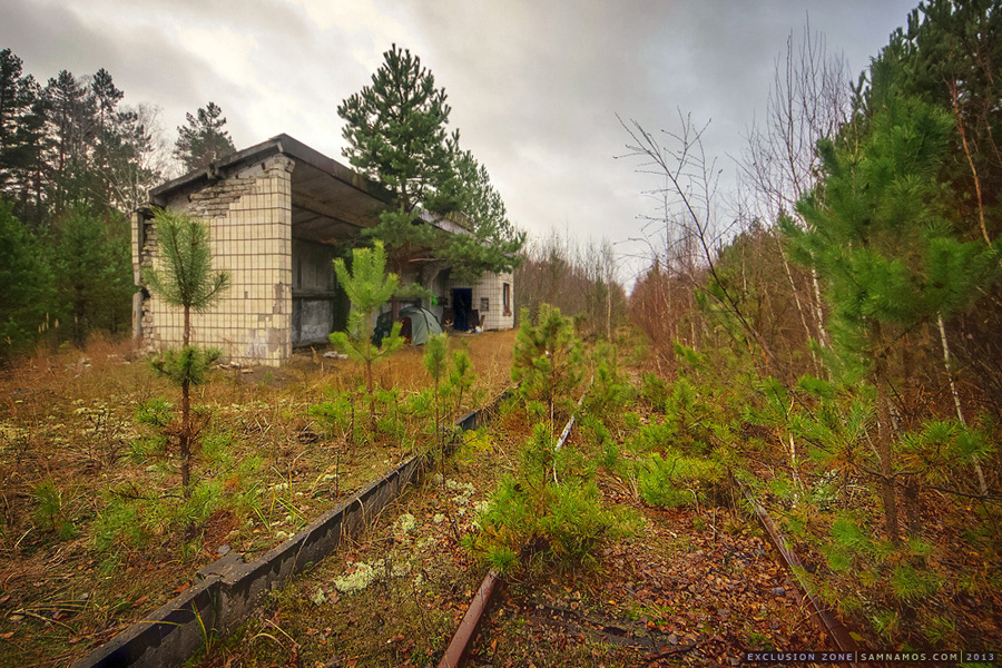 The abandoned railroad line through the Chornobyl zone.