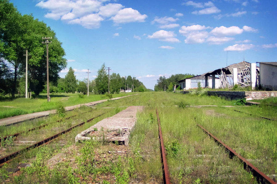 The abandoned railroad line through the Chornobyl zone.