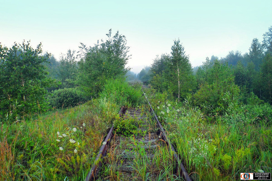 The abandoned railroad line through the Chornobyl zone.